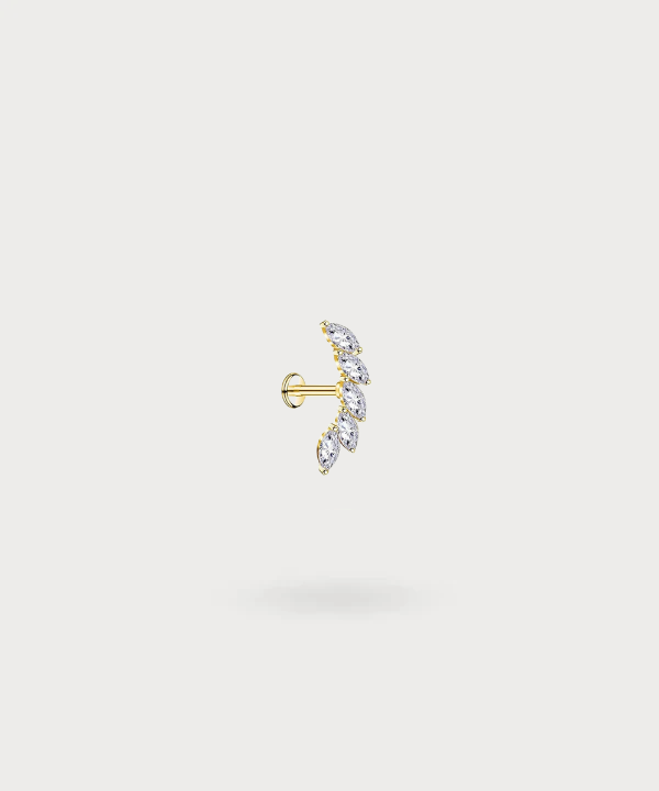 "Rita helix-piercing in titanium met schitterende markiezin zirkonen."