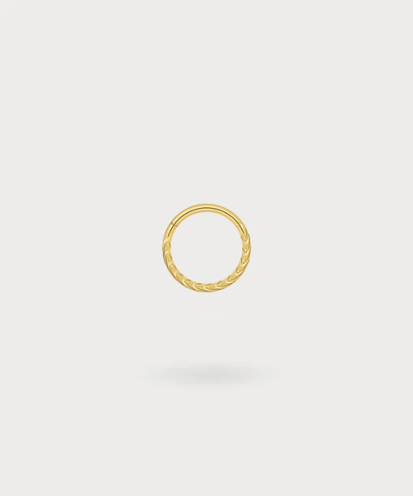 "Titanium Gevlochten Ring Helix Piercing Francisca met gouden afwerking, combineert gladde en gevlochten texturen voor een uniek ontwerp."