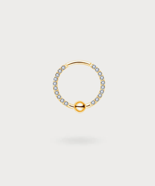 Dana helix piercing van titanium, een symbool van luxe en elegantie