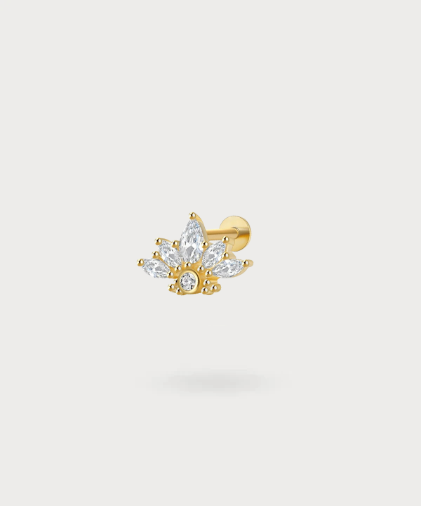 De Vanessa helix piercing, dagelijkse bloemige schittering