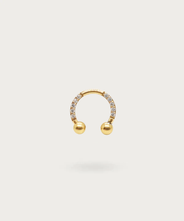 cirkelvormige staaf goud titanium zirconia daith