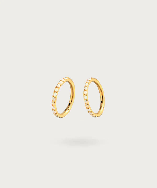 Rook piercing ringer clicker van titanium