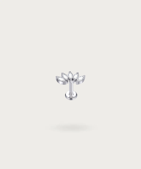 Helix Titanium Piercing Kleur in zilver