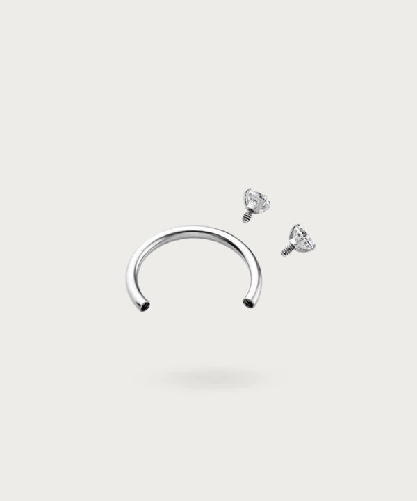 Titanium Rook Piercing zilveren