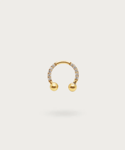 cirkelvormige staaf goud titanium zirconia daith