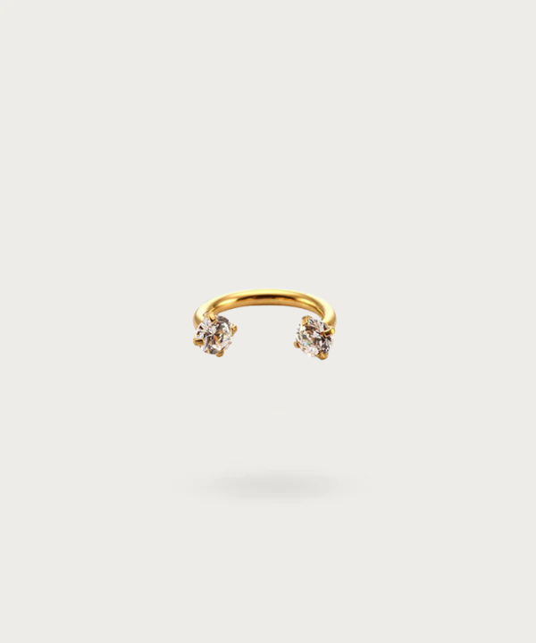 Titanium Rook Piercing goud