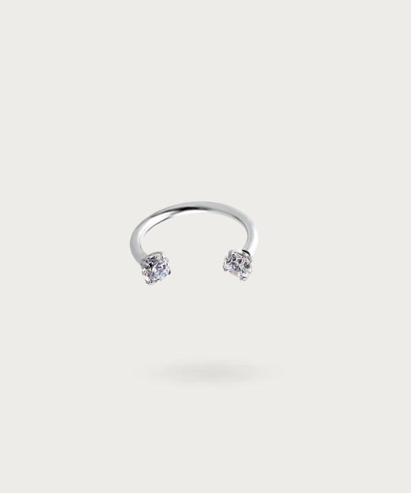 Titanium Rook Piercing zilver